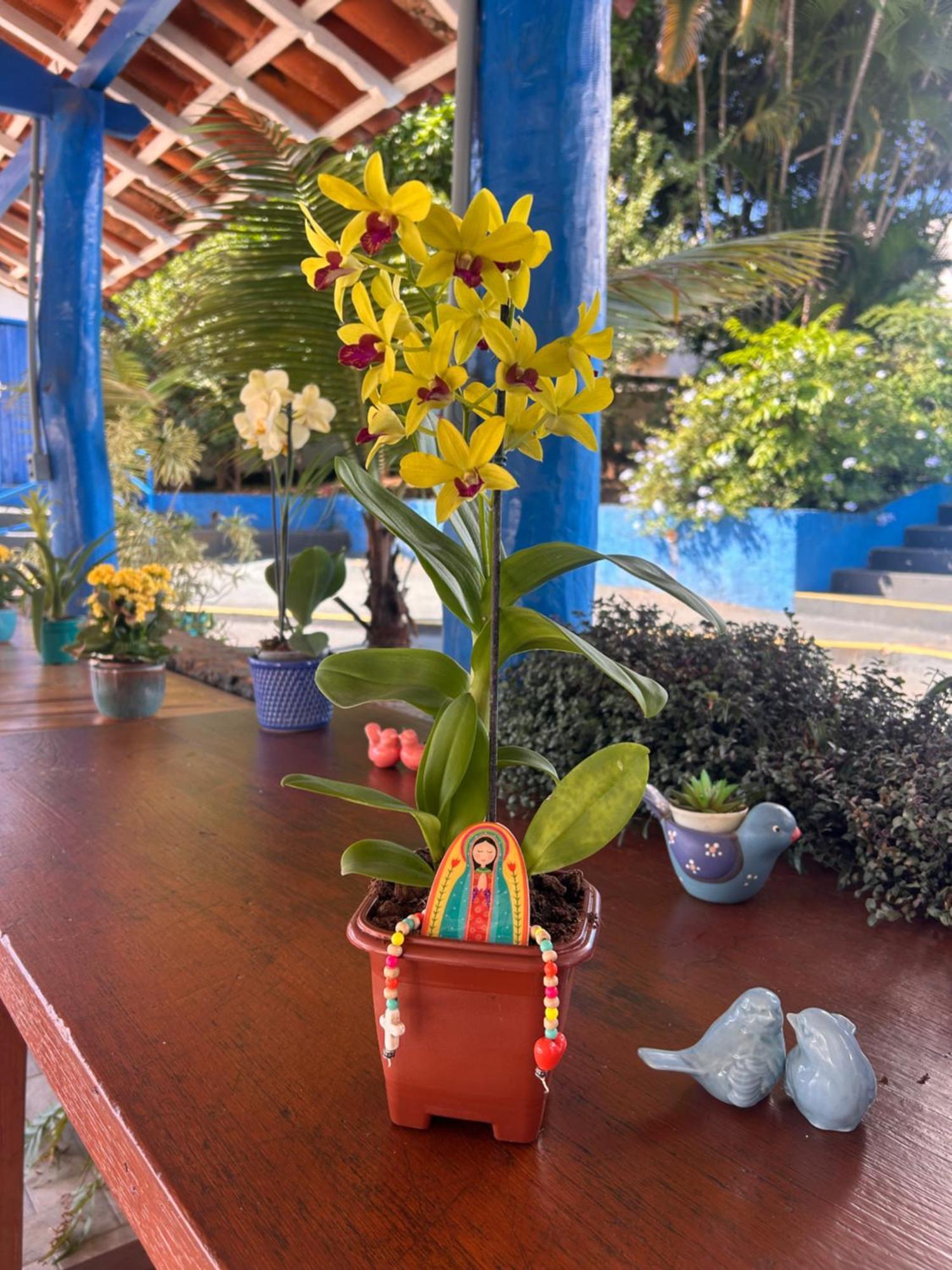 Pousada Doce Villa Capitólio 外观 照片